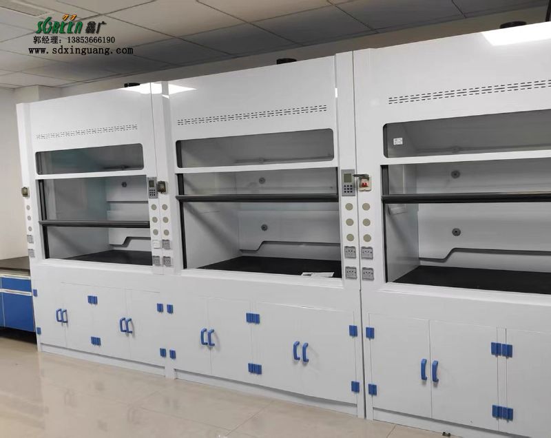 山東pp通風櫥供應 實驗臺通風柜 通風柜廠家