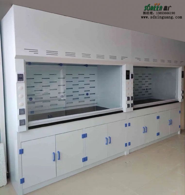 山東實驗室設備pp實驗室通風柜實驗臺廠家