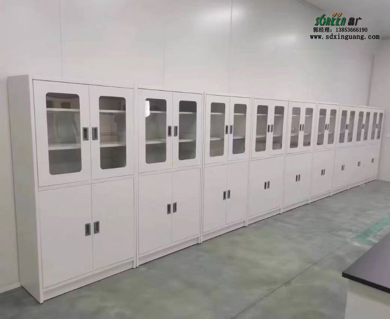山東實驗臺廠家全鋼試劑柜實驗室器皿柜